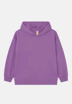 Friboo Hoodie 2 Pack - Sudadera - Purple/Light Grey -Moda Tienda da2dec0af23149c6bc5d46322ccb9f02